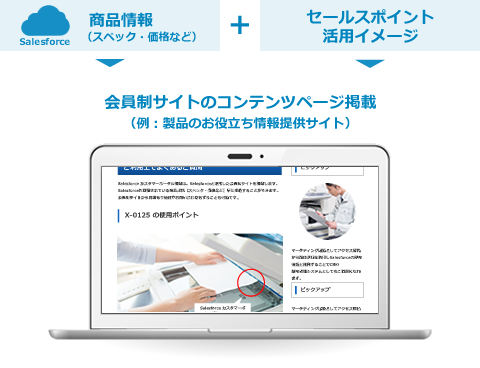 会員制サイトのコンテンツページ掲載（例：製品のお役立ち情報提供サイト）