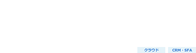 salesforce 導入・保守サービス