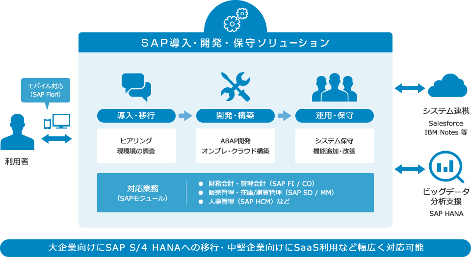 SAP導入・開発・保守ソリューション：対応業務（SAPモジュール）財務会計・管理会計（SAP FI・CO）、販売管理・在庫/購買管理（SAP SD・MM）、人事管理（SAP HCM）など