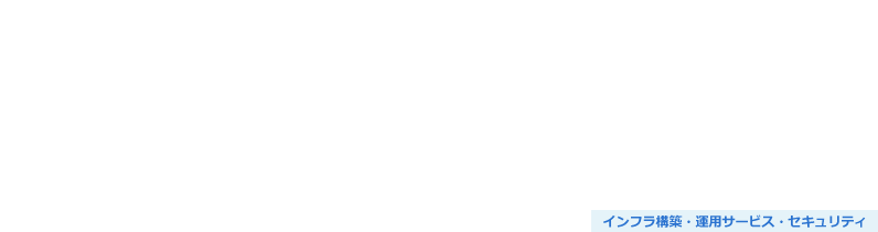 Webアプリケーション・プラットフォームセキュリティ診断サービス