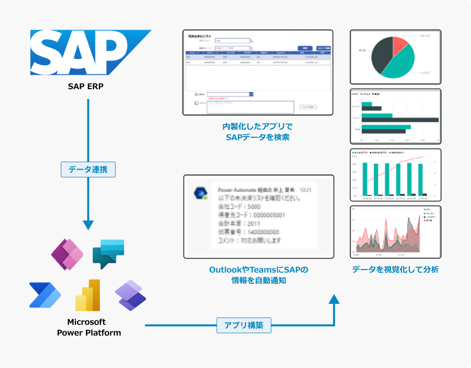 SAP Surround